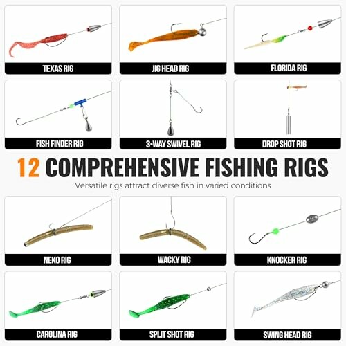 12 comprehensive fishing rigs with various types including Texas, Jig Head, Florida, Fish Finder, and more.